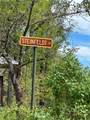  Steinfeldt Lane - Photo 3