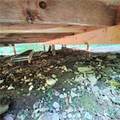 0 Dolly Rd & Kenne Brook Road - Photo 7