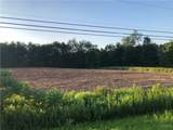  Rt-365 Road - Photo 2