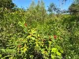 00 Glass Factory Road - Photo 17