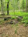  Keppy Carr Road - Photo 8