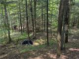 6446 Lingerlong Pond Road - Photo 13