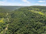 4902 Mcmaster Road - Photo 43