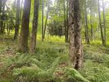  Fulmer Valley Road - Photo 7