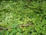 0 Starks Road - Photo 7