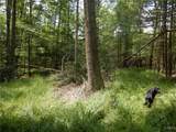  Chaffee Creek Road - Photo 15
