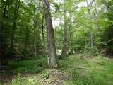  Chaffee Creek Road - Photo 17