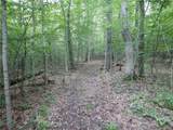  Chaffee Creek Road - Photo 9