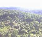 0 Syrian Hill Road - Photo 7