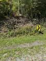  Clark Hollow Road - Photo 3