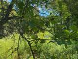 590 Cr 17 Road - Photo 48