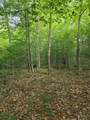  Woodland Ln - Photo 3