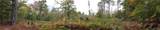  Dutchtown Road - Photo 11