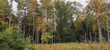  Dutchtown Road - Photo 15