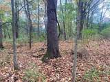  Bull Road - Photo 13