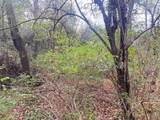  Bull Road - Photo 15