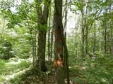 Bull Hill Road - Photo 20