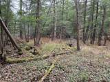 Portville Obi Road - Photo 14