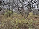 Portville Obi Road - Photo 16