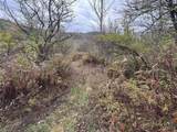  Portville Obi Road - Photo 9