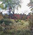  Willow Tree Road - Photo 6