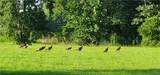  Hogback Road - Photo 11