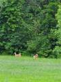  Hogback Road - Photo 13