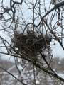  Eddy Road - Photo 24