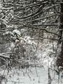 Eddy Road - Photo 33