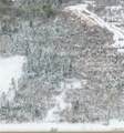  Eddy Road - Photo 4