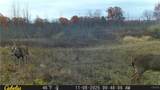  Two Rod Road - Photo 26