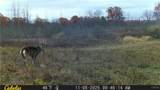  Two Rod Road - Photo 27