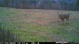  Two Rod Road - Photo 28