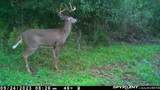  Two Rod Road - Photo 29