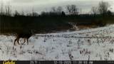  Two Rod Road - Photo 30