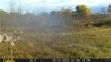  Two Rod Road - Photo 32