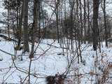 00 Fancher Ave - Photo 4