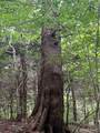  Creek Road - Photo 11