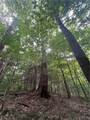  Creek Road - Photo 19