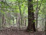  Creek Road - Photo 3