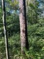  Creek Road - Photo 30