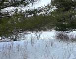  Conklin Drive - Photo 2