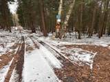  Conklin Drive - Photo 7