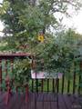 6381 Wendover Road - Photo 18