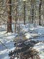  Calaboga Road - Photo 4