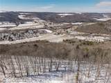  Nys Route 414 - Photo 11