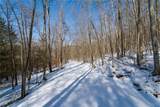  Nys Route 414 - Photo 14