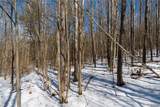  Nys Route 414 - Photo 19