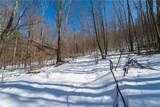 Nys Route 414 - Photo 21