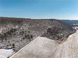  Nys Route 414 - Photo 6